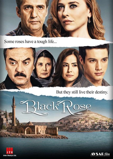 Серіал Чорна троянда всі серії онлайн / Черная роза (2015) смотреть онлайн